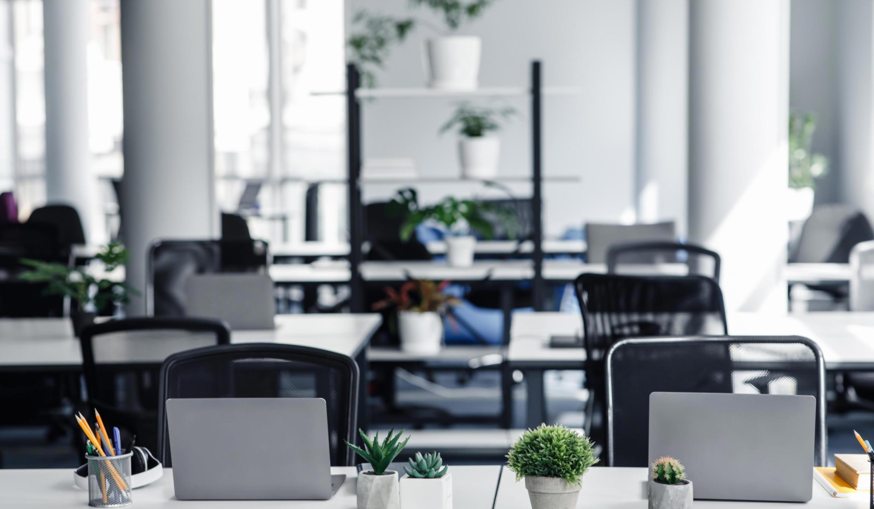 Команда аналитиков Market LogicR за работой